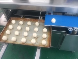 Panasonic-Sensor Automatische Kaya Bun Bread Production Line 380V