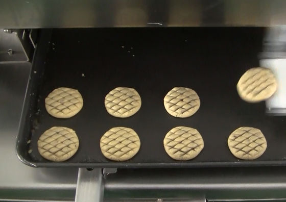 Het Ei van HONGXIN 1000w het Schilderen Machine voor Ananascakes